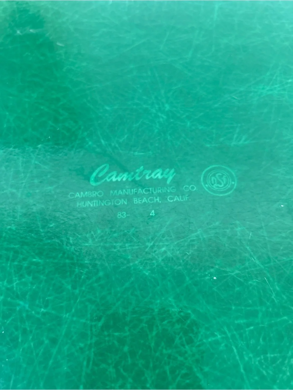 Vintage Cambry fiberglass Lunch Serving Trays Forest Green and botanical leaf